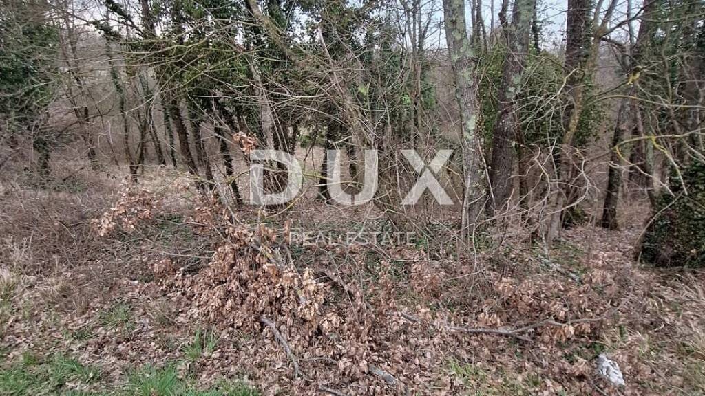 Land-/Forstwirtschaft zum Kauf 65.000 € Zminj