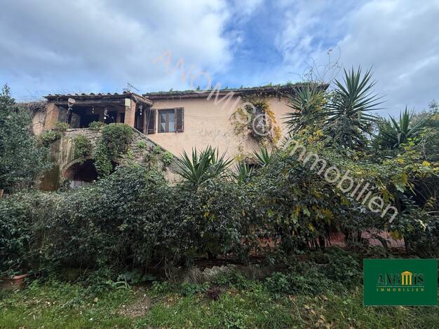 Mehrfamilienhaus zum Kauf 479.000 € 10 Zimmer 210 m² 10.500 m² Grundstück Massa Marittima 58024