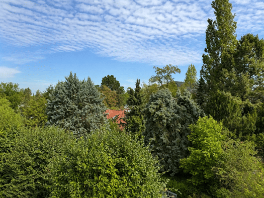 Penthouse zum Kauf 670.000 € 3 Zimmer 118 m² Geschoss 3/3 frei ab 02.11.2026 Zehlendorf Berlin 14165