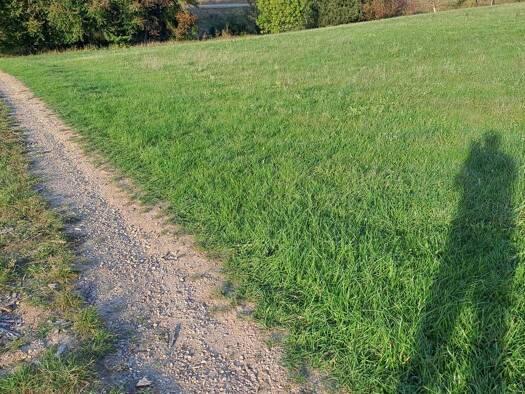 Land-/Forstwirtschaft zum Kauf 52.700 € 12.254 m² Grundstück Hochfeld Daiting 86653