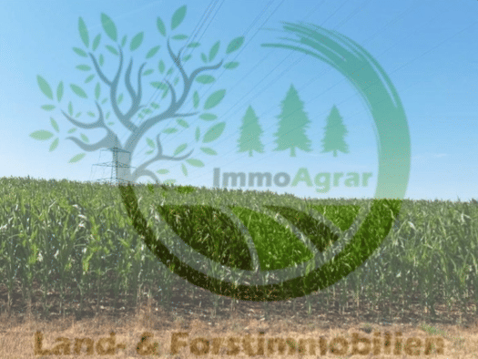 Land-/Forstwirtschaft zum Kauf 77.000 € 37.348 m² 37.348 m² Grundstück Gersdorf Nennslingen 91790