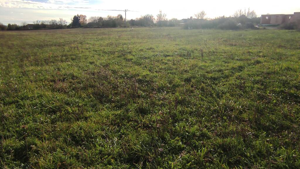 Grundstück zum Kauf provisionsfrei als Kapitalanlage geeignet 80.000 € 1.267 m² Grundstück Cserszegtomaj 8372