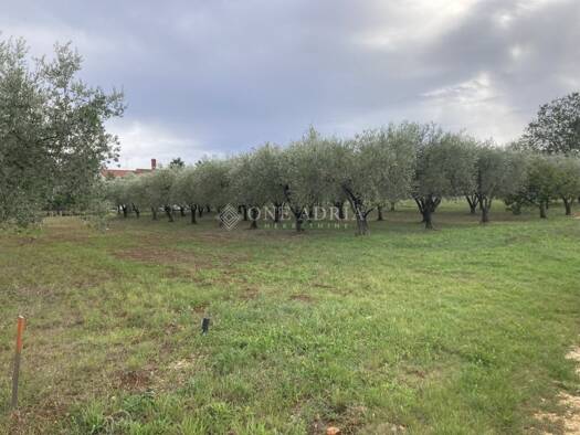 Grundstück zum Kauf 160.000 € Poreč 52440