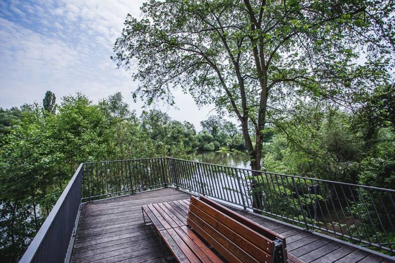 WG-Zimmer zur Miete Wohnen auf Zeit 400 € 12 m² 1. Geschoss frei ab sofort Alt Fechenheim 00 Fechenheim Frankfurt am Main 60386