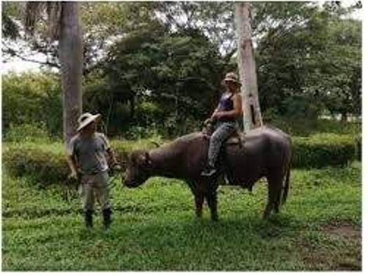 Bauernhaus zum Kauf provisionsfrei als Kapitalanlage geeignet 2.700.000 € 3,5 Zimmer 120 m² 6.250.000 m² Grundstück Bagaces 50401