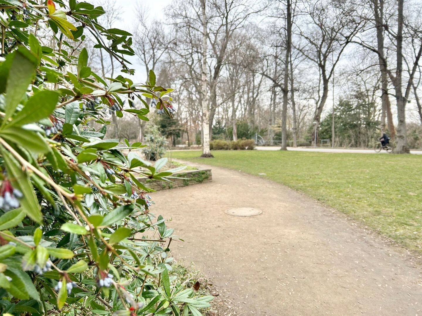 Property thumbnail 10