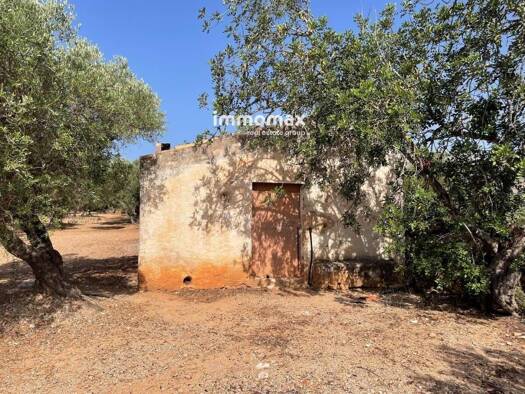Acker-/Waldstück zum Kauf 56.000 € Xerta 43592
