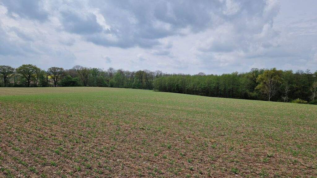 Land-/Forstwirtschaft zum Kauf 645.000 m² Grundstück Teterow 17166