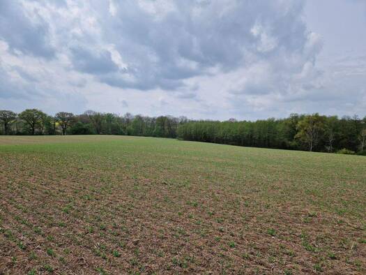Land-/Forstwirtschaft zum Kauf 645.000 m² Grundstück Teterow Teterow 17166 