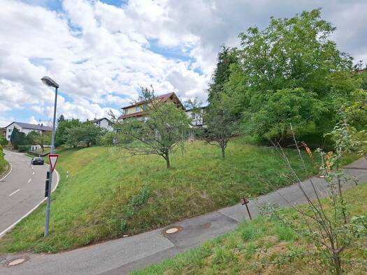 Grundstück zum Kauf 90.000 € 573 m² Grundstück Baugenehmigung vorhanden frei ab sofort Vorderheubach Heiligkreuzsteinach 69253
