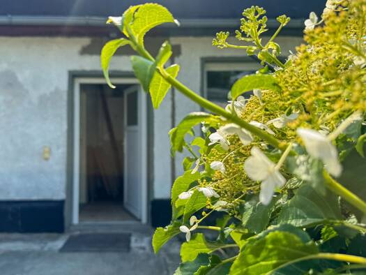 Einfamilienhaus zum Kauf 295.000 € 3 Zimmer 50 m² 549 m² Grundstück Buchholz Berlin 13127
