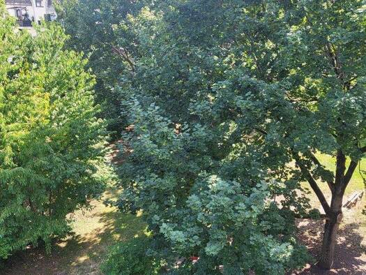 Wohnung zur Miete 875 € 3 Zimmer 68 m² 2. Geschoss frei ab sofort Neustadtstraße 3 Opladen Leverkusen 51379