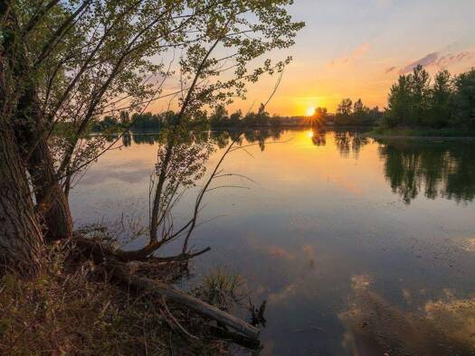 Penthouse zum Kauf - Erstbezug provisionsfrei 445.000 € 3 Zimmer 91 m² Naunhof 04683