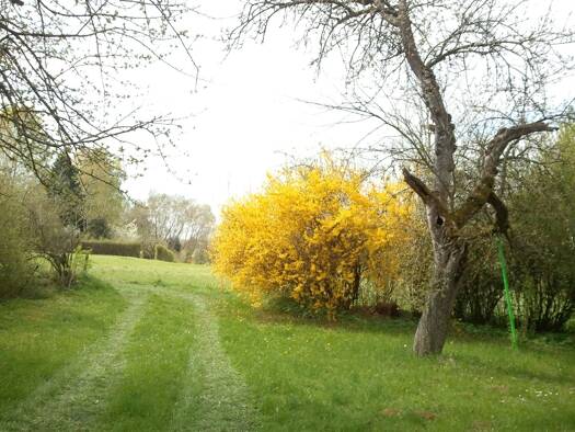 Grundstück zum Kauf provisionsfrei 16.000 € 1.958 m² Grundstück Gärtringen 71116