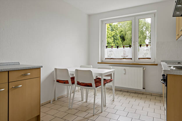 Wohnung zur Miete 458 € 2 Zimmer 53 m² EG An der Witschke 3 Seeben Halle / Seeben 06118