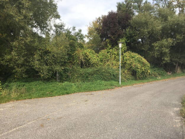 Grundstück zum Kauf provisionsfrei 25.900 € 1.831 m² Grundstück Breest 17089