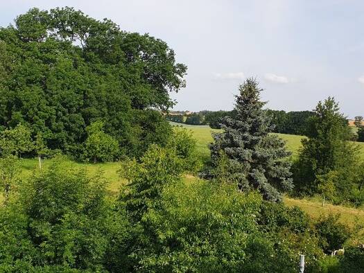 Wohnung zum Kauf 125.500 € 2,5 Zimmer 73 m² Geschoss 2/2 frei ab sofort Kobitzscher Weg 6 Ullendorf Klipphausen 01665