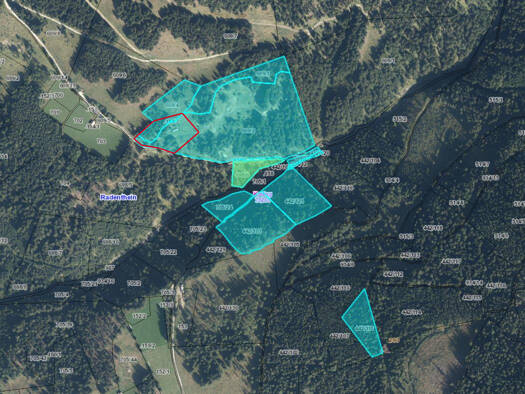 Land-/Forstwirtschaft zum Kauf 195.000 € 90.000 m² Grundstück Radenthein 9545