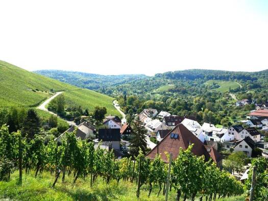 Wohnung zum Kauf provisionsfrei 325.000 € 3,5 Zimmer 90 m² 1. Geschoss Korb 71404