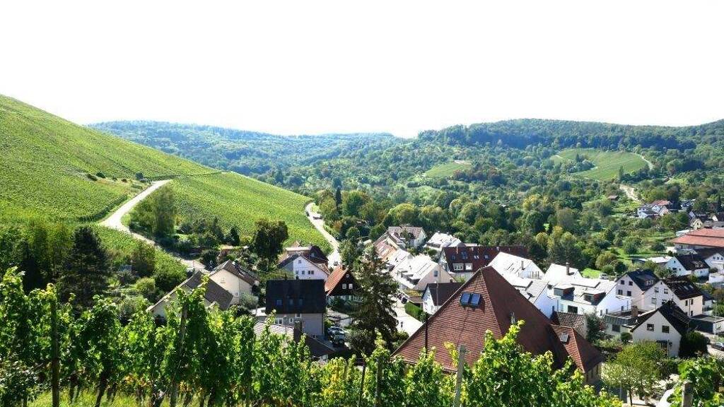 Wohnung zum Kauf provisionsfrei 325.000 € 3,5 Zimmer 90 m² 1. Geschoss Korb 71404