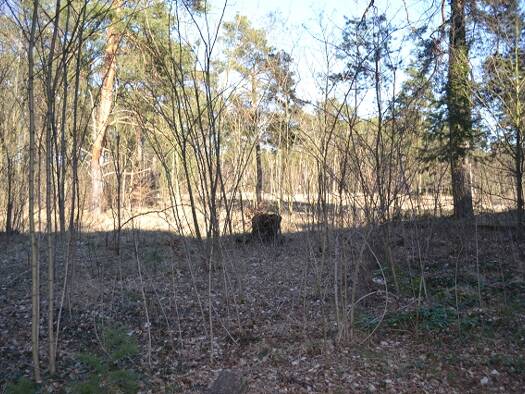 Grundstück zum Kauf 189.000 € 675 m² Grundstück Teupitz 15755