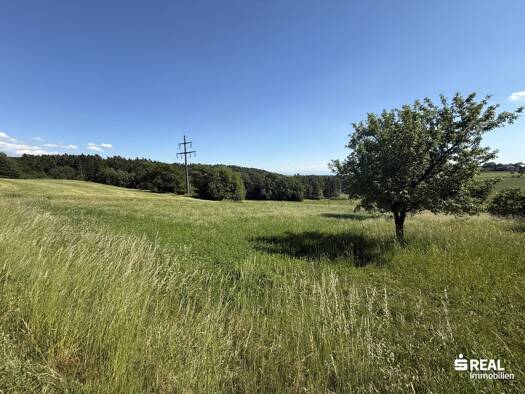 Land-/Forstwirtschaft zum Kauf 340.000 € 145.214 m² Grundstück Neumarkt im Mühlkreis 4212