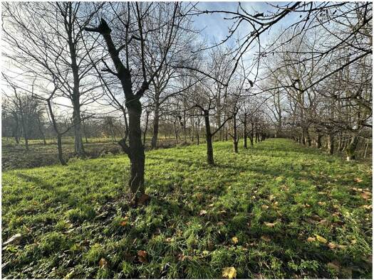 Land-/Forstwirtschaft zum Kauf 63.000 € 3.584 m² Grundstück Neuland Engelschoff / Neuland 21710