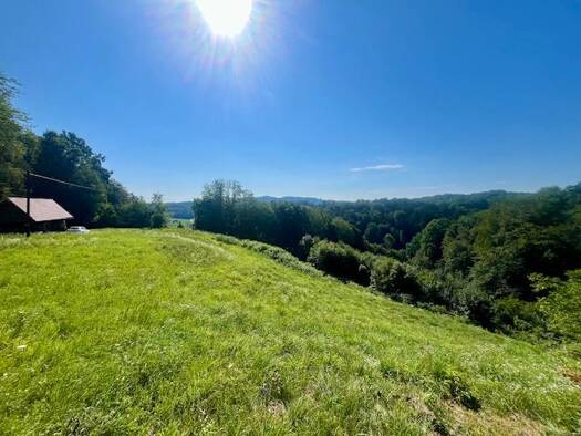 Land-/Forstwirtschaft zum Kauf 485.000 € 11.000 m² Grundstück Sankt Johann im Saggautal 8453