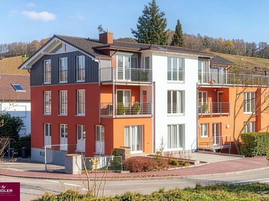 Mehrfamilienhaus zum Kauf als Kapitalanlage geeignet 2.690.000 € 21 Zimmer 869,6 m² 772 m² Grundstück Wildtal Gundelfingen 79194
