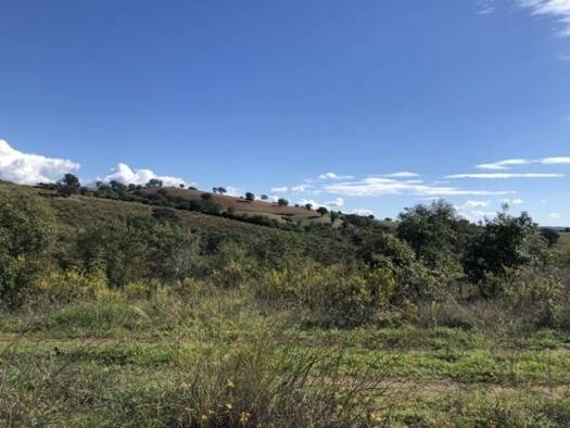 Einfamilienhaus zum Kauf 10 Zimmer 500 m² 13.000 m² Grundstück Maremma 58100