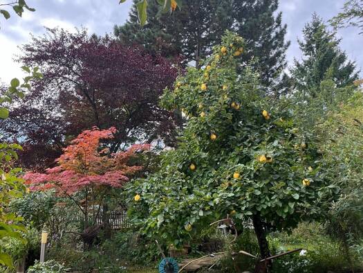 Mehrfamilienhaus zum Kauf 699.000 € 10 Zimmer 187,9 m² 644 m² Grundstück Obertraubling 93083