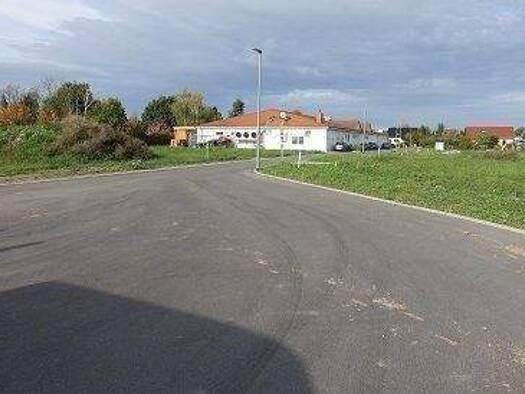 Mehrfamilienhaus zum Kauf 96.800 € 6 Zimmer 1.300 m² Grundstück Mühlberg Mühlberg/Elbe 04931