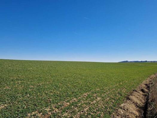 Grundstück zum Kauf 1.180 m² Grundstück Pollham 4710