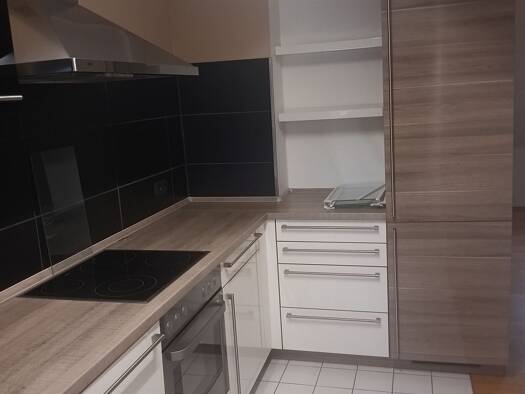Wohnung zur Miete 750 € 1 Zimmer 77 m² Geschoss 1/2 frei ab sofort Tannheim 88459