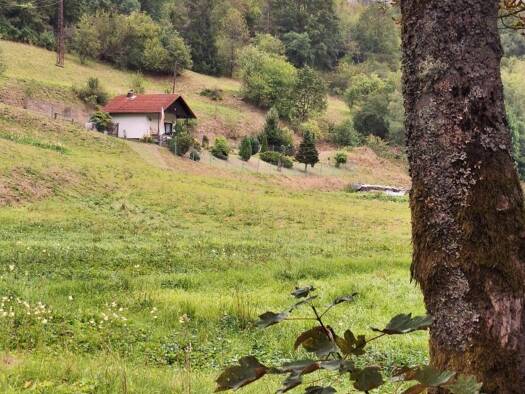 Haus zum Kauf 29.000 € 2 Zimmer 50 m² 670 m² Grundstück frei ab sofort Schleusegrund 98666
