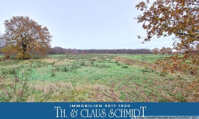 Land-/Forstwirtschaft zum Kauf 20.000 € 7.500 m²<br/>Grundstück Golzwarden Ovelgönne 26939