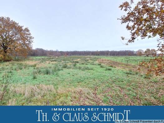 Land-/Forstwirtschaft zum Kauf 20.000 € 7.500 m² Grundstück Loyermoor Ovelgönne 26939