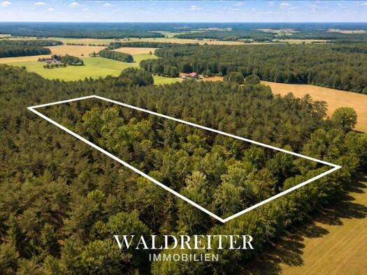 Land-/Forstwirtschaft zum Kauf 28.000 € 11.177 m² Grundstück Steimbke 31634