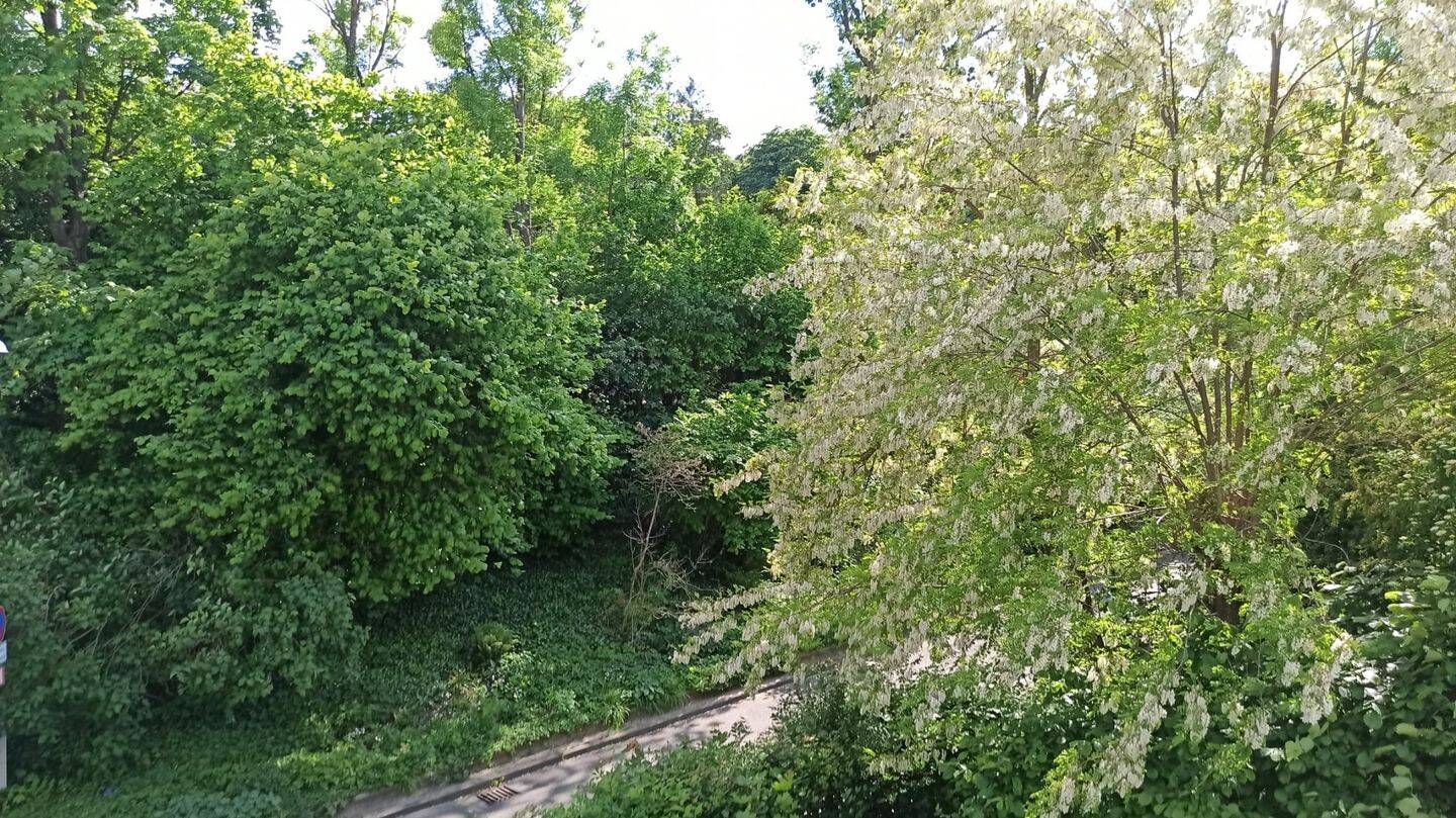 Property thumbnail 27