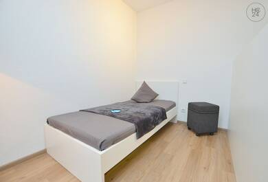 Wohnung zur Miete Wohnen auf Zeit 665 € 1 Zimmer 21 m² frei ab 01.08.2025 Frauenland Würzburg 97074