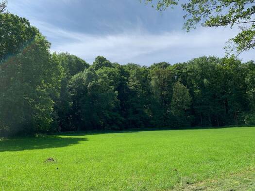 Grundstück zum Kauf 6.000 € 4.975 m² Grundstück Leuben Nossen 01683