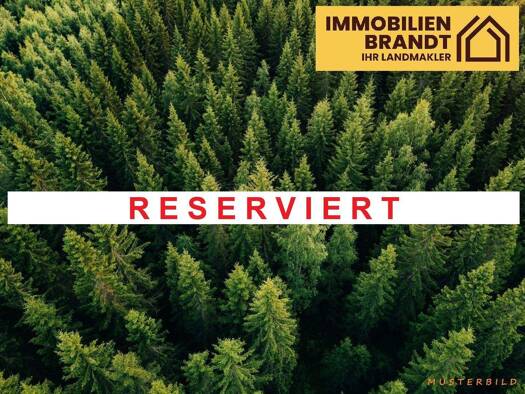 Forstwirtschaft zum Kauf 11.200 m² Grundstück Neu Farpen Neuburg 23974