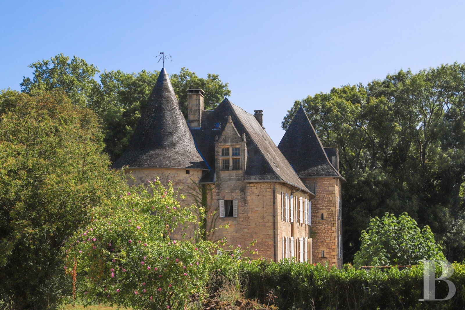 Schloss zum Kauf 1.280.000 € 20 Zimmer 750 m²<br/>Wohnfläche 20.000 m²<br/>Grundstück Arsonval Brive-la-Gaillarde 19100