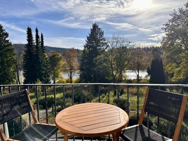 Hotel zum Kauf provisionsfrei 410.000 € 17 Zimmer 200 m² Gastrofläche 4.000 m² Grundstück Hahnenklee Goslar 38644