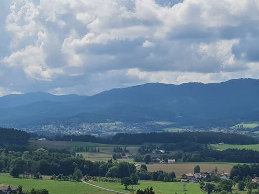 Wohnung zum Kauf provisionsfrei 98.500 € 2 Zimmer 62 m² 3 Geschosse Rimbach 93485