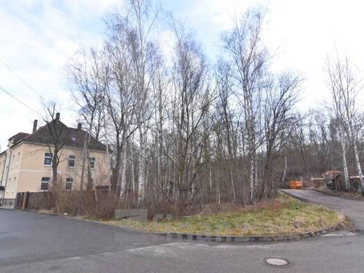 Grundstück zum Kauf 52.500 € 900 m² Grundstück Schedewitz Zwickau 08056