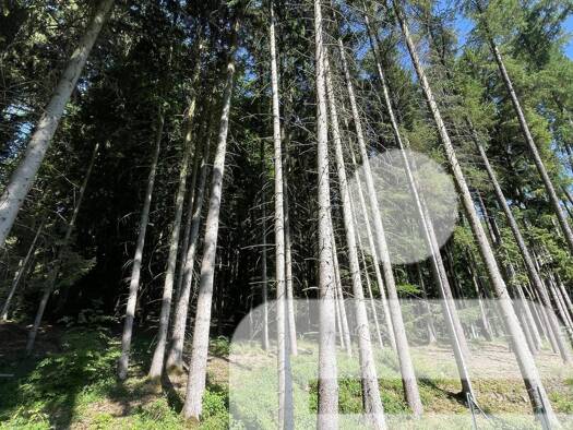 Land-/Forstwirtschaft zum Kauf 49.000 € 15.636 m² Grundstück Stetten Thalmässing 91177
