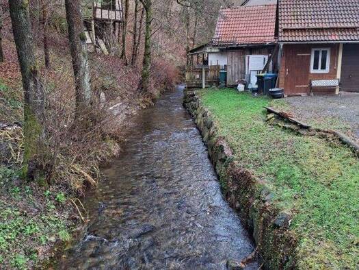 Einfamilienhaus zum Kauf provisionsfrei 12.500 € 4 Zimmer 90 m² 332 m² Grundstück Engenstein Schleusegrund 98666