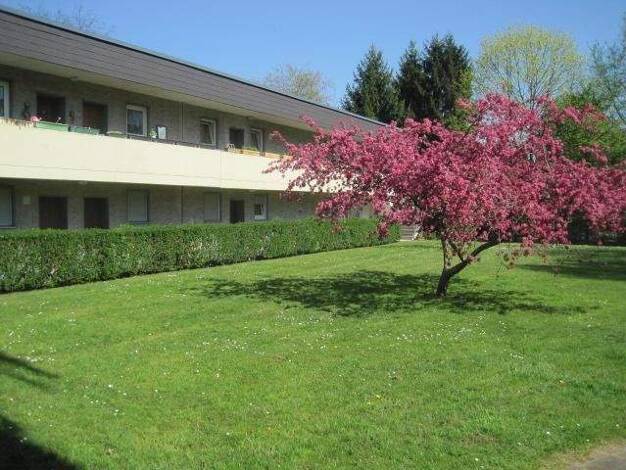 Wohnung zur Miete 608 € 1 Zimmer 42 m² frei ab 25.12.2025 Bahnhofplatz 9 Gremberghoven Köln 51149