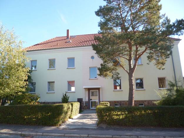 Wohnung zur Miete 377 € 2 Zimmer 51 m² 1. Geschoss frei ab sofort Steinstraße 8 Bad Düben 04849